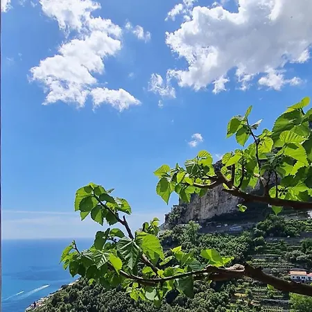 Lovely Panoramic House With Garden And Sea View