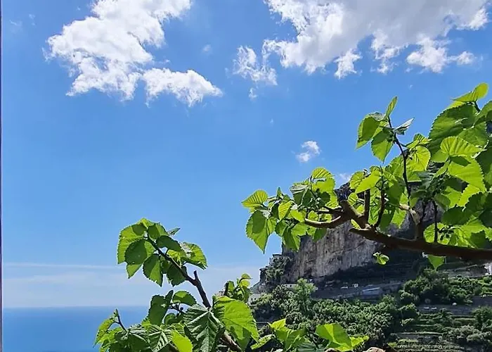 Lovely Panoramic House With Garden